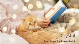  Presentation with pets - Audience pleasing PPT layouts consisting of pets hygge and people concept - close up of red tabby cat and female owner reading book in bed at home backdrop and a coral colored foreground