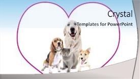  Presentation with pets - PPT layouts enhanced with pets in big heart frame background and a light blue colored foreground