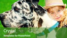  Presentation with meadow - Beautiful presentation design featuring pets people - happy little girl with her backdrop and a  colored foreground