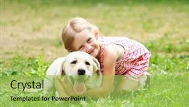  Presentation with pet grooming small dog - Presentation theme having pets people - little blond girl with her background and a yellow colored foreground