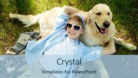  Presentation with anime cute japan cosplay - Colorful slides enhanced with pets people - portrait of cute lad embracing backdrop and a light blue colored foreground