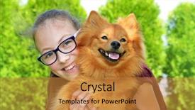  Presentation with pet grooming small dog - Audience pleasing PPT theme consisting of pets people - portrait of happy young girl backdrop and a gold colored foreground