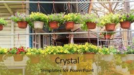  Presentation with flower 3d animation - Colorful presentation design enhanced with petunias flowers in hanging flower backdrop and a gold colored foreground