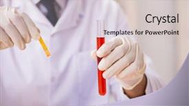  Presentation with lab rat - Audience pleasing PPT theme consisting of ph - chemist in the lab checking backdrop and a  colored foreground