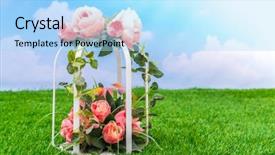  Presentation with green grass artificial top - Slides having pharanges - beautiful of artificial flowers background and a  colored foreground