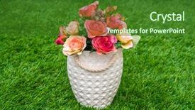 Presentation with green grass artificial top - PPT theme having pharanges - beautiful of artificial flowers background and a  colored foreground