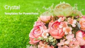  Presentation with grass - Presentation theme consisting of pharanges - beautiful of artificial flowers background and a  colored foreground