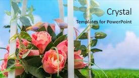  Presentation with grass - Amazing presentation design having pharanges - beautiful of artificial flowers backdrop and a  colored foreground