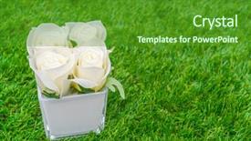  Presentation with grass - Beautiful PPT theme featuring pharanges - beautiful of artificial flowers backdrop and a  colored foreground