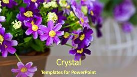  Presentation with flowers - Colorful presentation theme enhanced with pharanges - beautiful of artificial flowers backdrop and a tawny brown colored foreground