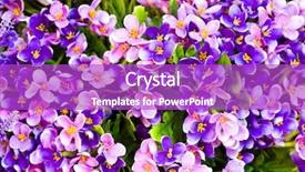  Presentation with beautiful flowers border floral design - Presentation theme having pharanges - beautiful of artificial flowers background and a purple colored foreground