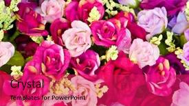  Presentation with flowers - Cool new presentation theme with pharanges - beautiful of artificial flowers backdrop and a  colored foreground