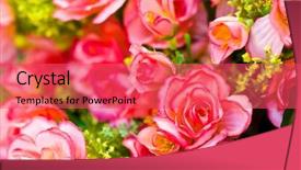  Presentation with beautiful flowers border floral design - Presentation theme with pharanges - beautiful of artificial flowers background and a  colored foreground