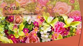  Presentation with flowers - Colorful PPT theme enhanced with pharanges - beautiful of artificial flowers backdrop and a coral colored foreground