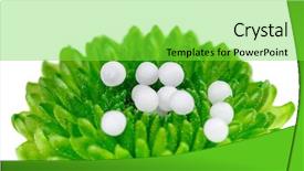  Presentation with homeopathic - PPT theme with pharmaceutical pellet - homeopathic globules on a green background and a seafoam green colored foreground