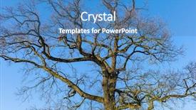  Presentation with crown - Theme having phase chanfe - bare tree crown symbol photo background and a  colored foreground