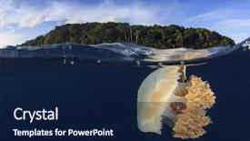  Presentation with jellyfish - Colorful presentation theme enhanced with philipines - jellyfish underwater and island half backdrop and a navy blue colored foreground