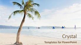  Presentation with palm tree - PPT layouts having little girl an earache on white background background and a  colored foreground.