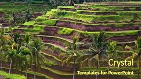  Presentation with bali culture - Presentation theme featuring philippines culture - rice terrace bali indonesia background and a tawny brown colored foreground