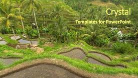  Presentation with philippines environment - Audience pleasing presentation consisting of philippines environment - green rice terrace in bali backdrop and a tawny brown colored foreground