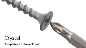  Presentation with pandanus or screw pine plant - Beautiful presentation theme featuring philips - screw and screwdriver backdrop and a  colored foreground