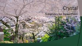  Presentation with philosopher - PPT theme consisting of kyoto japan at philosopher's background and a light gray colored foreground