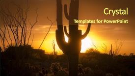  Presentation with arizona desert - Slides consisting of phoenix - arizona landscape sunset saguaro background and a tawny brown colored foreground