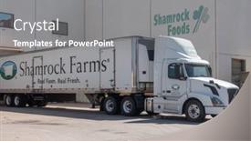  Presentation with diary products - 