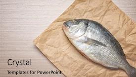  Presentation with parchment - Theme enhanced with phosphorus - parchment with fresh dorado fish background and a coral colored foreground