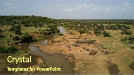  Presentation with elephants - Amazing theme having photo african elephants on savanna backdrop and a  colored foreground