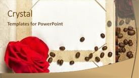  Presentation with photo album - Theme featuring photo album and red roses background and a cream colored foreground