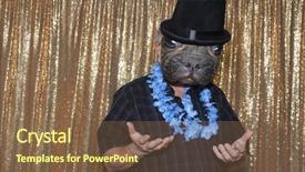  Presentation with top hat - Slides consisting of photo booth a man wear background and a tawny brown colored foreground