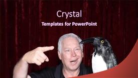  Presentation with pet - Slides with photo-booth-penguin-pet-penguin and a wine colored foreground