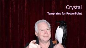  Presentation with pet - Presentation featuring photo-booth-penguin-pet-penguin and a wine colored foreground