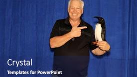  Presentation with pet - Slide set consisting of photo-booth-penguin-pet-penguin and a ocean colored foreground
