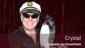  Presentation with pet - PPT theme with photo-booth-penguin-pet-penguin and a wine colored foreground