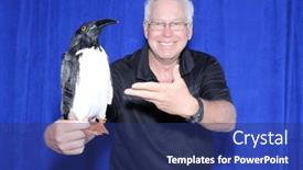  Presentation with pet - Theme featuring photo-booth-penguin-pet-penguin and a ocean colored foreground
