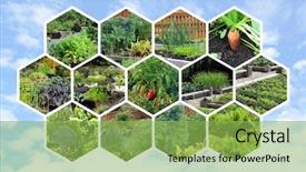  Presentation with photo collage - Amazing presentation theme having photo collage of a variety backdrop and a  colored foreground