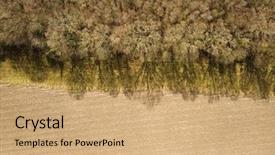  Presentation with winter forest - Amazing presentation theme having photo field forest edge perimeter backdrop and a coral colored foreground