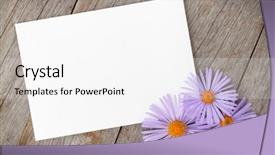  Presentation with frame - Slide set enhanced with photo frame and gerbera flowers background and a white colored foreground