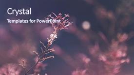  Presentation with vintage floral - Cool new PPT theme with photo of a beautiful dark backdrop and a tawny brown colored foreground