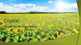  Presentation with czech republic - Beautiful presentation featuring isolated woman holding measure tape in her hands backdrop and a light gray colored foreground