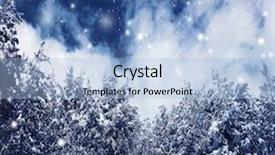  Presentation with winter border - Amazing presentation having old christmas trees over blue backdrop and a light blue colored foreground