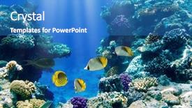  Presentation with egypt water cruise - Amazing theme having photo of a coral colony backdrop and a teal colored foreground