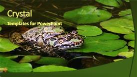 Presentation with frogs - Slide deck enhanced with photo of a couple of frogs background and a tawny brown colored foreground