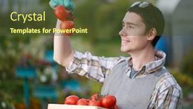  Presentation with agronomist - Slide set consisting of photo of agronomist with tomato background and a tawny brown colored foreground