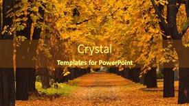  Presentation with autumn - Beautiful presentation featuring sold home for sale sign in front of beautiful new house note shallow depth of field backdrop and a violet colored foreground