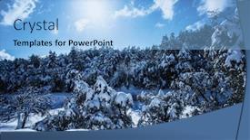  Presentation with spruce - Theme with photo of beautiful snowy forest in the mountain bright sun shine in blue sky woods covered white snow hoarfrost on evergreen tree branch of spruce cover with rime cold frosty wintertime weather background and a light blue colored foreground