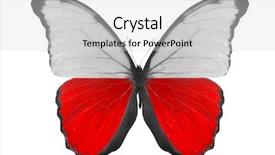  Presentation with indonesian flag - Slides enhanced with photo of butterfly in poland background and a  colored foreground