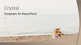  Presentation with toy - PPT layouts having photo-of-corgi-playing background and a sky blue colored foreground